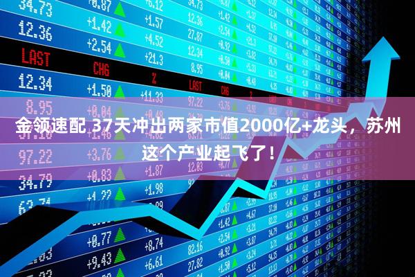 金领速配 37天冲出两家市值2000亿+龙头，苏州这个产业起飞了！