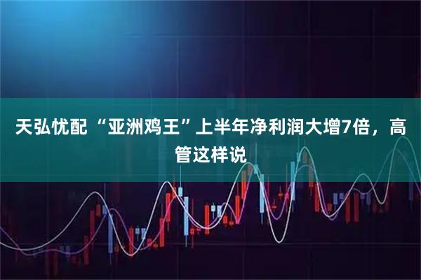 天弘忧配 “亚洲鸡王”上半年净利润大增7倍，高管这样说
