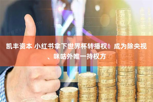 凯丰资本 小红书拿下世界杯转播权！成为除央视、咪咕外唯一持权方