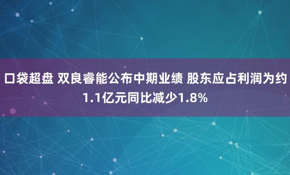 口袋超盘 双良睿能公布中期业绩 股东应占利润为约1.1亿元同比减少1.8%